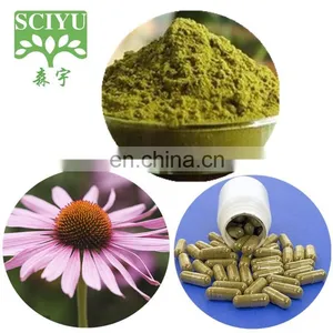 Bulk 4% Polyphenol Echinacea Purpurea Extract Powder thumbnail-4