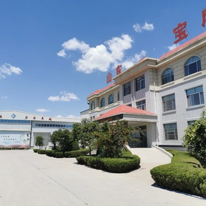 Shandong Baocheng Refrigeration Equipment Co., Ltd company overview - view 1 thumbnail