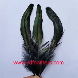 Dyed Black Rooster/Coque/Cock Tail Feather for Wholesale From China thumbnail-1
