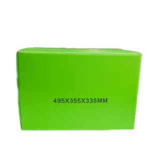 Customizable Green PP Hollow Sheet Skeleton Box – Waterproof, Recyclable Storage thumbnail-2