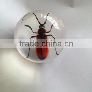 Hot Selling Small Crystal Ball With Real Ember Embedded for Promotional Gift thumbnail-3