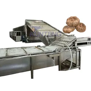 Continuous Konjac Processing Plant Konjac Starch Dryer Konjac Cleaning Slicing and Drying Equipment Production Line EPC thumbnail-1