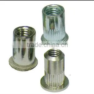 Rivet thumbnail-1