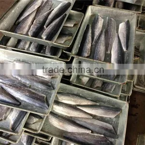Bone off Frozen Spanish Mackerel Fillet and Scomberomorus Niphonius thumbnail-2