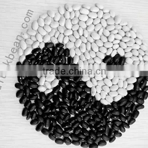 High Quality White/Black Pulse Beans thumbnail-1
