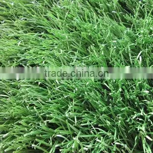 Artificial Grass for Football thumbnail-1