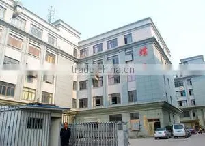 Yiwu Diecai Silk Flower Co., Ltd. company overview - view 1 thumbnail