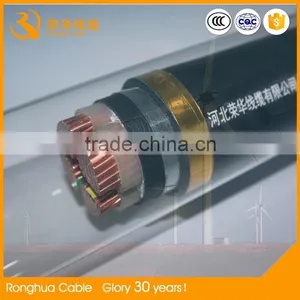 Exporting Bangladesh 0.6/1kv XLPE Insulated PVC Sheathed Cable thumbnail-5