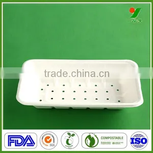 High Quality Bagasse Food Stand Up Clear Pulp Tray Fordry Fruit Packing thumbnail-1