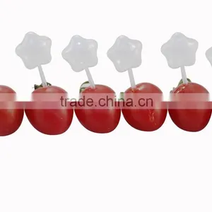 Trade Assurance 2ml Plastic Transfer Pipette thumbnail-6