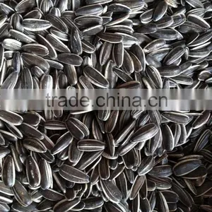 Sunflower Seed 4009 thumbnail-3