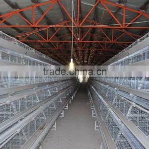 Hot Selling Automatic A Type Layer Cage -totally Automatic thumbnail-3