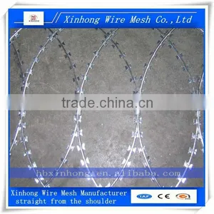 Concertina Wire thumbnail-1