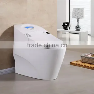 Hot Sales Modern Design Sensor Seat Smart Toilet6103 thumbnail-1
