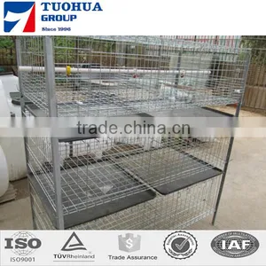 Chicken Egg Layer Cages,layer Poultry Cages thumbnail-3