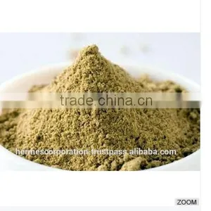 Best Quality Coriandrum Sativum Powder thumbnail-3