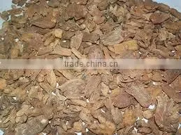 Morchella Esculenta Morel Morels Mushroom Dried Fresh Pure Natural Edible Mushrooms Yellow Morel, True Morel,Made in Turkey thumbnail-2