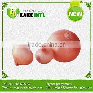 World Best Selling Products Grade A Fresh Onions thumbnail-5