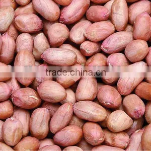 2012 Dried Raw Peanut Red Skin 11--13pcs thumbnail-1