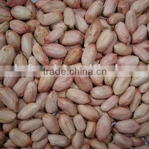 Peanut Kernel thumbnail-1