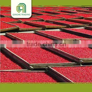 Ningxia Conventional Dried Goji Berries for Sale thumbnail-5