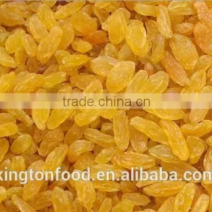 Chinese Wholesale Price Dried Golden Raisin thumbnail-2