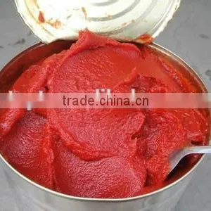 Canned Tomato Paste Gino Roma Brand Tomato Paste Factory thumbnail-5