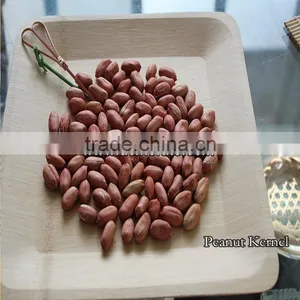 Peanut Kernel thumbnail-6