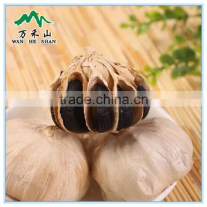 Fermented Black Garlic Bulb thumbnail-3