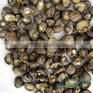 Dried White Mushrooms thumbnail-1