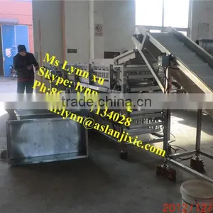 Potato Grading Machine/potato Sorter /automatic Potato Sorting Machine thumbnail-2
