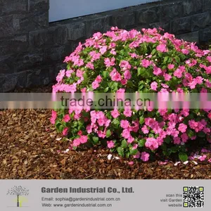 Gardening Landscaping Pine Bark Mulching thumbnail-4