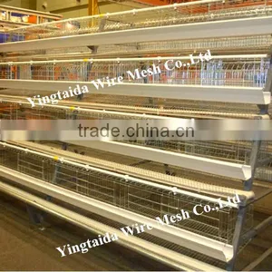 Automatic Chicke Cage Layer for Poultry Equipment in Chiken Farm thumbnail-2
