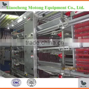 Good Quality Low Price Automatic Chicken Cage/Layer Cage/Broiler Cage Poultry Equipment For Chicken Farm thumbnail-2