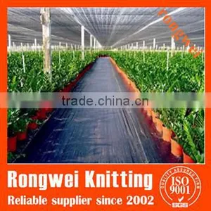 Agriculture Plastic Ground Cover Weed Mat thumbnail-2