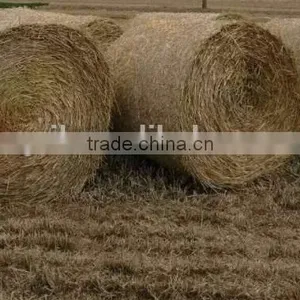New Style High Working Efficiency Tractor PTO Use Hay Round Baler Straw Baler Machine Grass Round Baler thumbnail-3