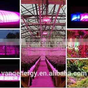Wifi Controller LED Grow Light 30w For Greenhouse Project New Technolgy Smart LED Lighting thumbnail-1