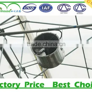 Plastic Agricultural Greenhouses for Sale thumbnail-5