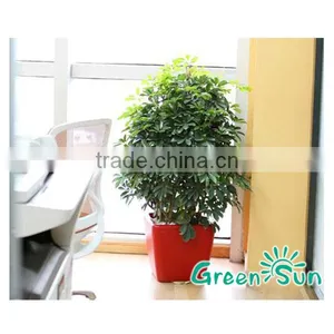 Garden Plastic Flower Pots,garden Planter Pots,self-watering Planter,hydroponic Systems Planter Pots thumbnail-1