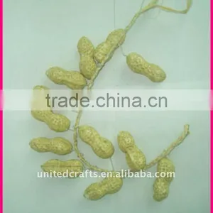 NEW ARRIVAL---2011 New Design Most Popular Natural Fruit and Vegetable Christmas Decoration thumbnail-1