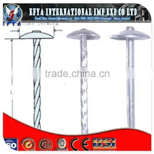 Roofing Nail Type and Iron Material E.Galvanized Smooth Shank Roofing Nail thumbnail-1