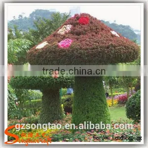 Customized Garden Decoration Artificial Topiary Factory Customized Topiary Frame Animals thumbnail-3