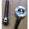 Customized Special Hex Head Socket Bolts With Hole(as Drawing) thumbnail-1