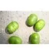 Pygeum Africanum Extract 25% Phytosterols thumbnail-1