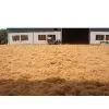 COCONUT FIBER thumbnail-1