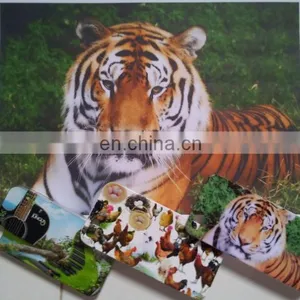 Automatic Mobile Phone Case Printing Machine thumbnail-3