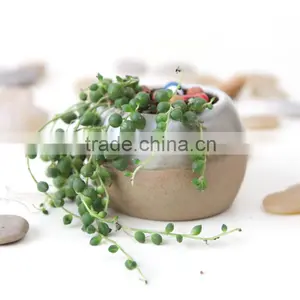 Antique Ceramic Flower Pot for Garden Decoration ,ceramic Pot thumbnail-4