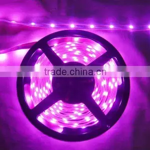 12V 5050 RGB LED Strip Waterproof thumbnail-1