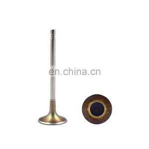 Wellfar High Quality Europea 21-4N Engine Parts Oe 06D 109 611H C7 Intake And Exhaust Engine Valves thumbnail-1