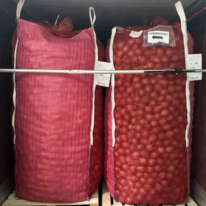 10ft 20ft 40ft Sea Dry Bulk Container Liner Bag thumbnail-3